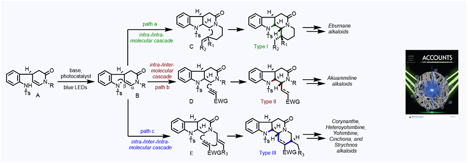 81. Indole Alkaloid Synthesis Facilitated by Photoredox Catalytic Radical Cascade