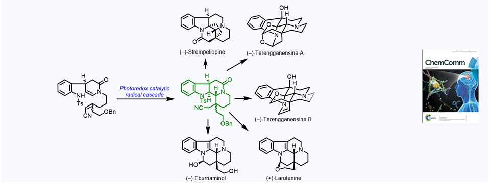 72. Concise syntheses of eburnane indole alkaloids