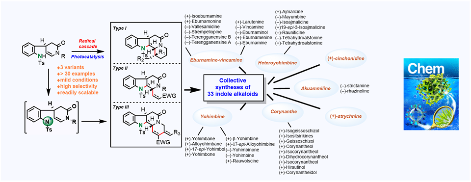 60. A Radical Cascade Enabling Collective Syntheses of Natural Products