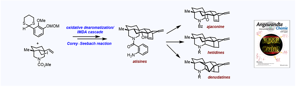 58. Synthesis of Atisine, Ajaconine, Denudatine, and Hetidine Diterpenoid Alkaloids by a Bioinspired Approach