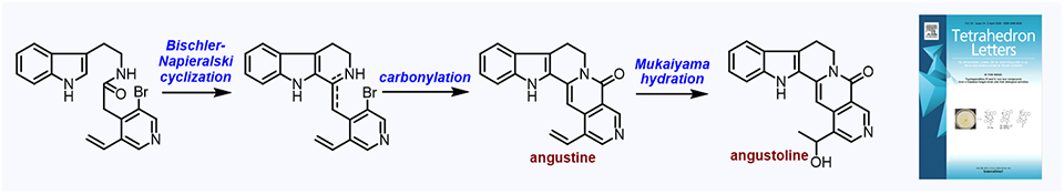 86. Total synthesis of angustine and angustoline