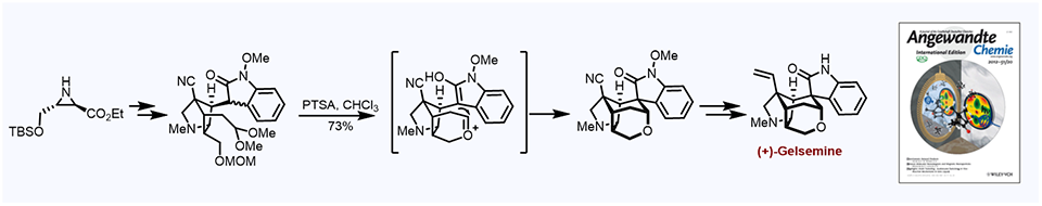 35. Biomimetic Total Synthesis of (+)-Gelsemine