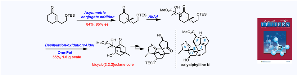 71.Enantioselective Synthesis of ABCF Tetracyclic Framework of Daphniphyllum Alkaloid Calyciphylline N.