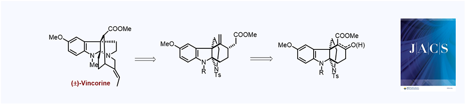 20. Total Synthesis of (±)-Vincorine