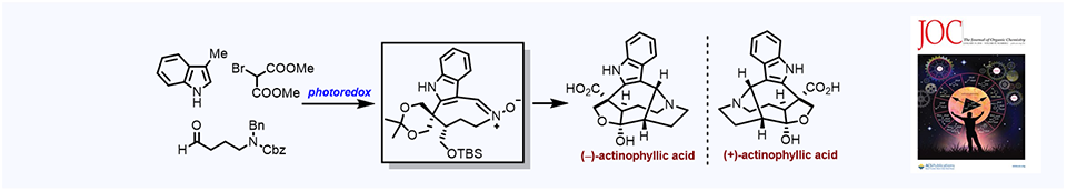 66. Formal Total Syntheses of (−)- and (+)-Actinophyllic Acid