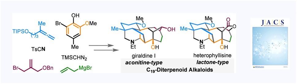 122. Total Syntheses of Giraldine I and Heterophyllisine
