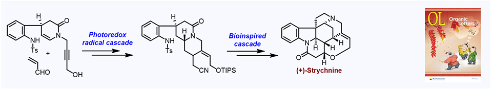 77. Asymmetric Total Synthesis of (+)-Strychnine.