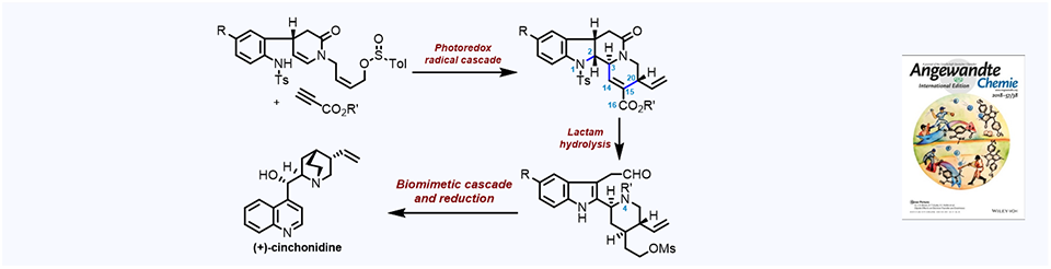 70. Bioinspired Synthesis of (+)-Cinchonidine Using Cascade Reactions