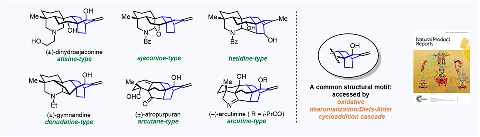 63. Enabling syntheses of diterpenoid alkaloids and related diterpenes by an oxidative dearomatization/Diels–Alder cycloaddition strategy