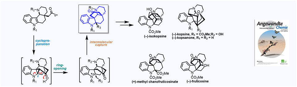 59. Asymmetric Total Synthesis of Kopsia Indole alkaloids