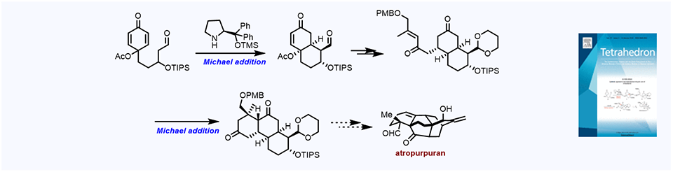 55. Synthetic approach to the functionalized tricyclic core of atropurpuran