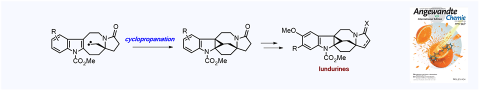 44. Total Synthesis of (-)-Lundurine A and Determination of Absolute Configuration