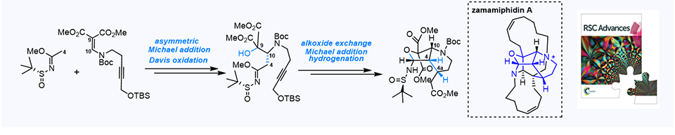 85. Synthetic progress toward the marine natural product zamamiphidin A