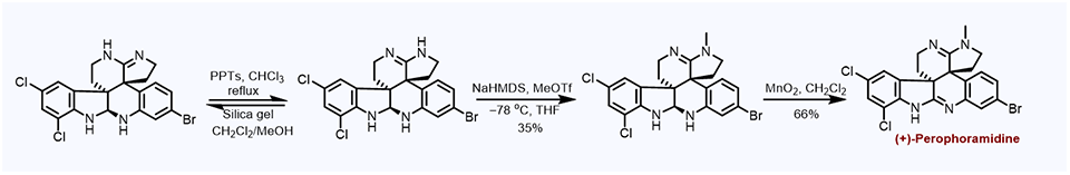 36. Alternative Methylation for the Synthesis of (＋)-Perophoramidine