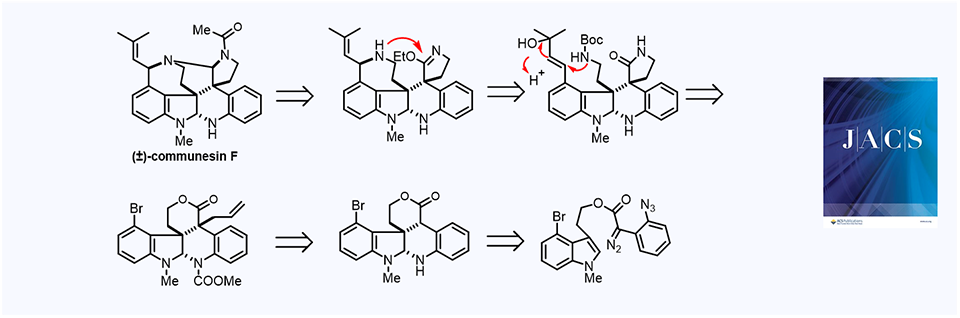 13. Total Synthesis of (±)-Communesin F