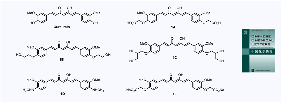14. Synthesis and cytotoxic activity of novel curcumin analogues