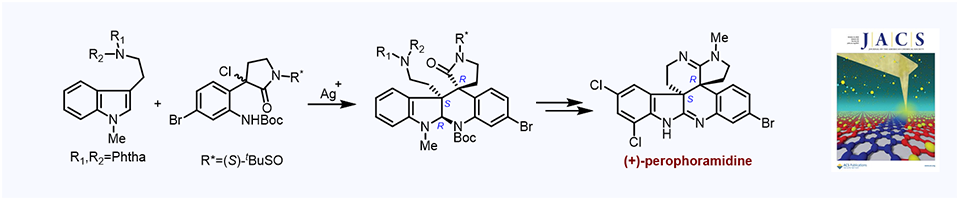 24. Total Synthesis of (+)-Perophoramidine and Determination of the Absolute Configuration