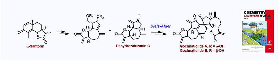 39. Total Syntheses of Ainsliadimer B and Gochnatiolides A and B