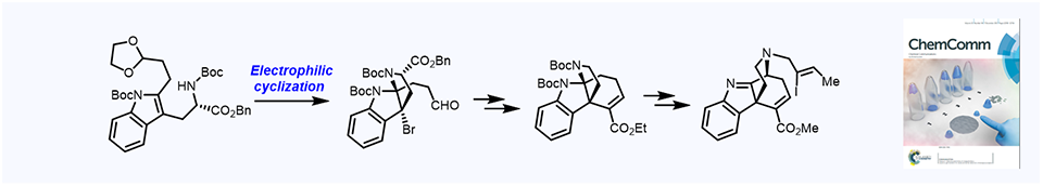 65. Formal total synthesis of the akuammiline alkaloid (+)-Strictamine