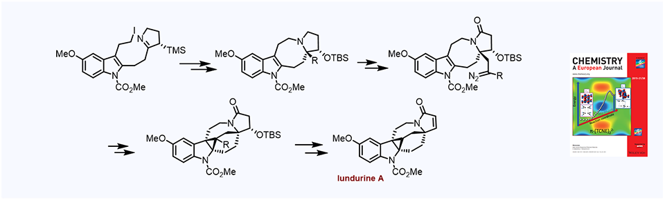 50. Studies of a Diazo Cyclopropanation Strategy for the Total Synthesis of (-)-Lundurine A