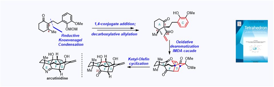 95. Synthetic studies towards arcutinidine: an alternative strategy for construction of the complete carbon framework