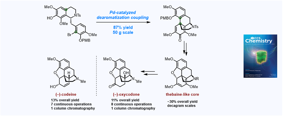 96. Bioinspired scalable total synthesis of opioids