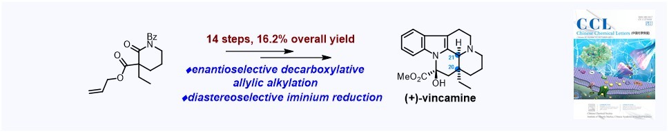 97.Enantioselective total synthesis of (+)-vincamine