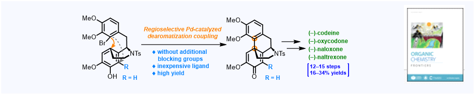 101. Concise total synthesis of opioids