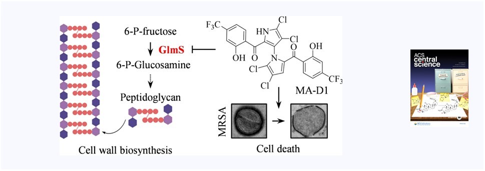 119. An Optimized Marinopyrrole A Derivative Targets 6-Phosphoglucosamine Synthetase to Inhibit Methicillin-Resistant Staphylococcus aureus